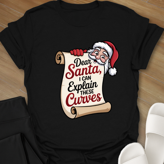Curvy Girl Santa Explanation T-Shirt