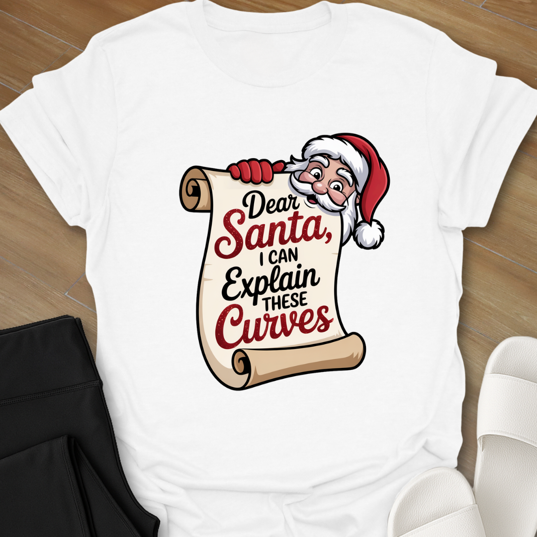 Curvy Girl Santa Explanation T-Shirt