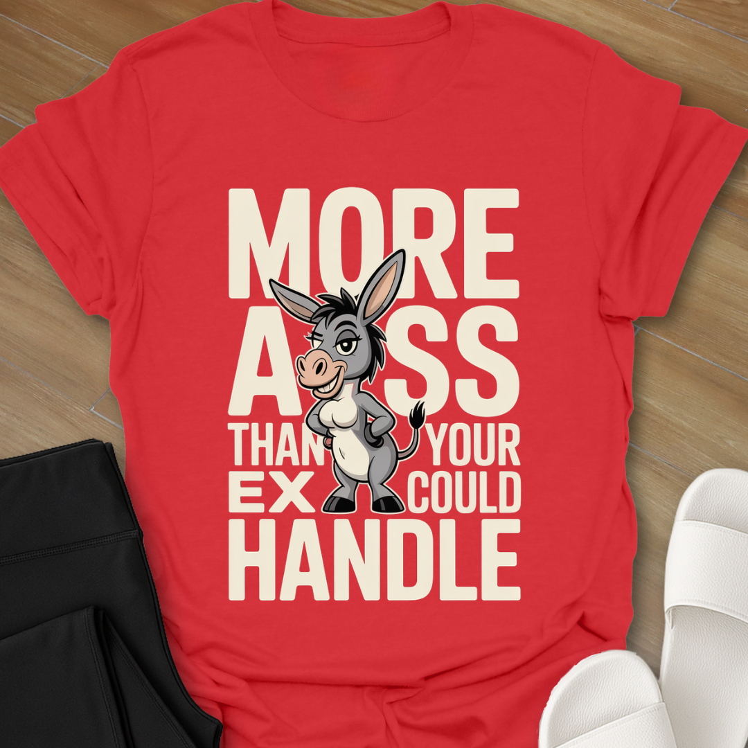 Than Your Ex Could Handle T-Shirt