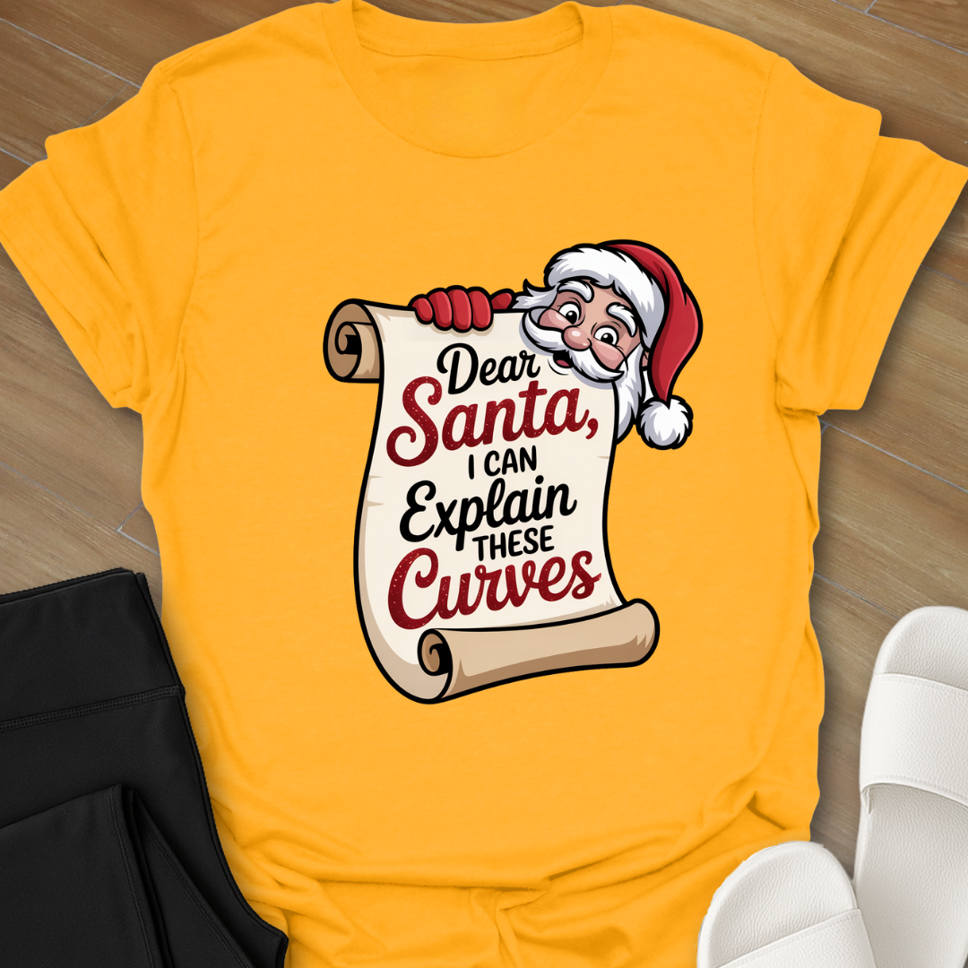 Curvy Girl Santa Explanation T-Shirt