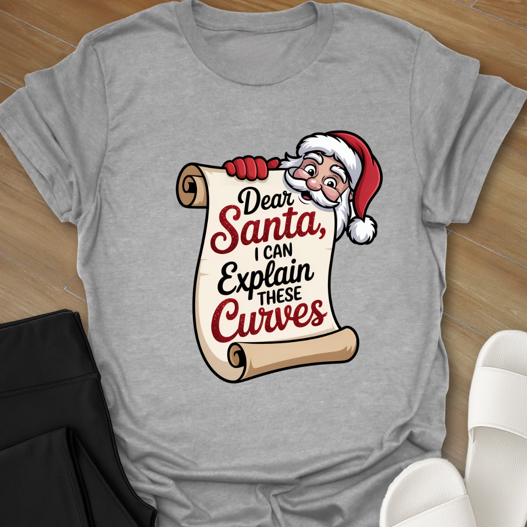 Curvy Girl Santa Explanation T-Shirt