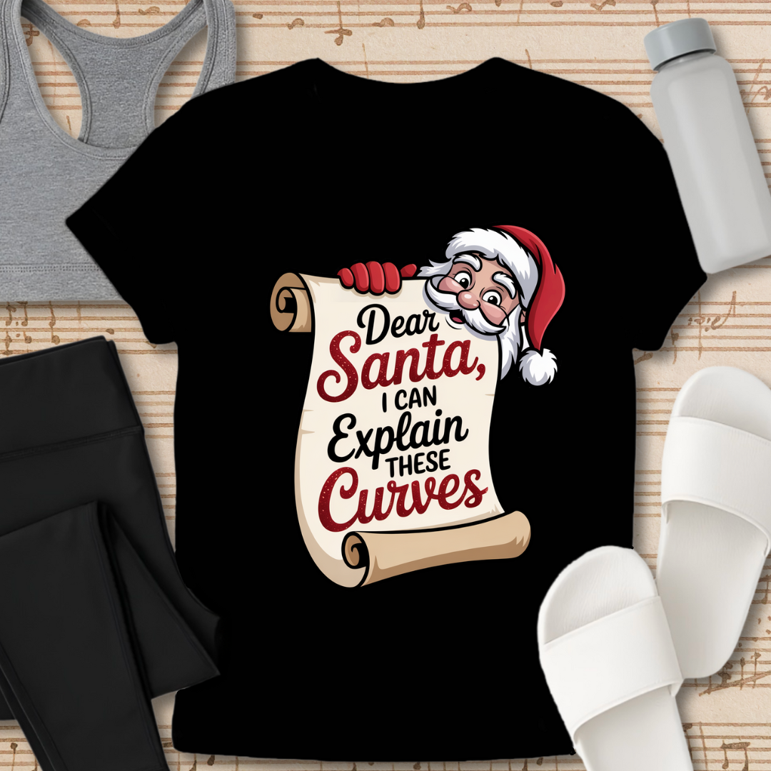 Curvy Girl Santa Explanation T-Shirt