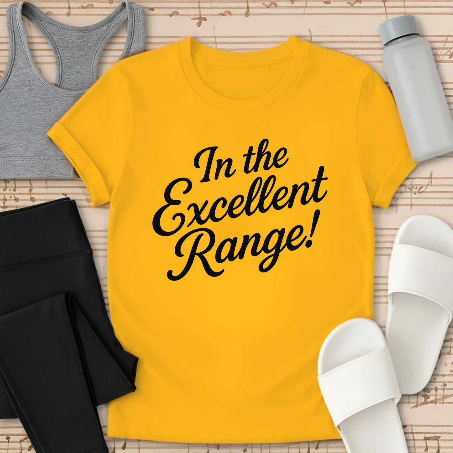 In the Excellent Range! T-Shirt