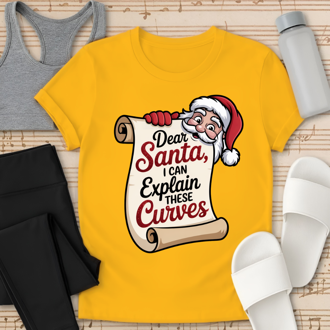 Curvy Girl Santa Explanation T-Shirt