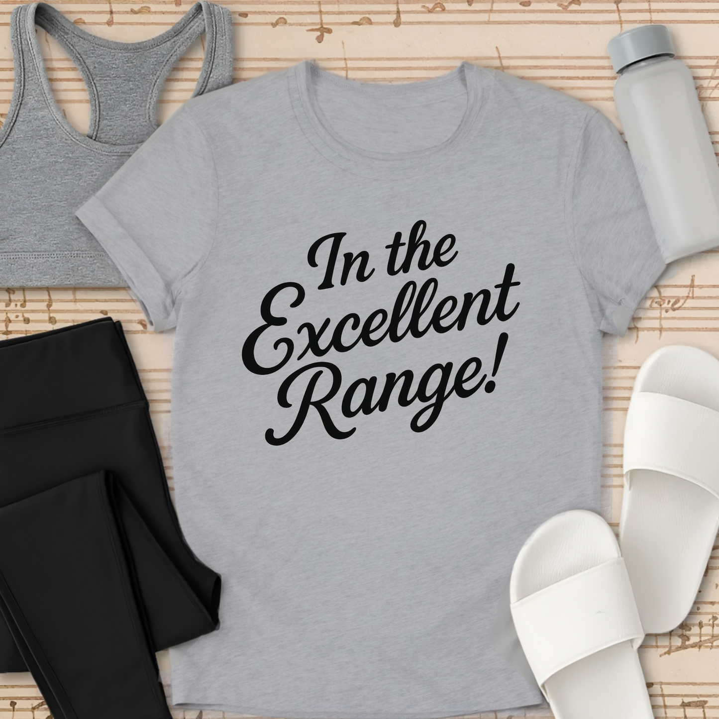 In the Excellent Range! T-Shirt