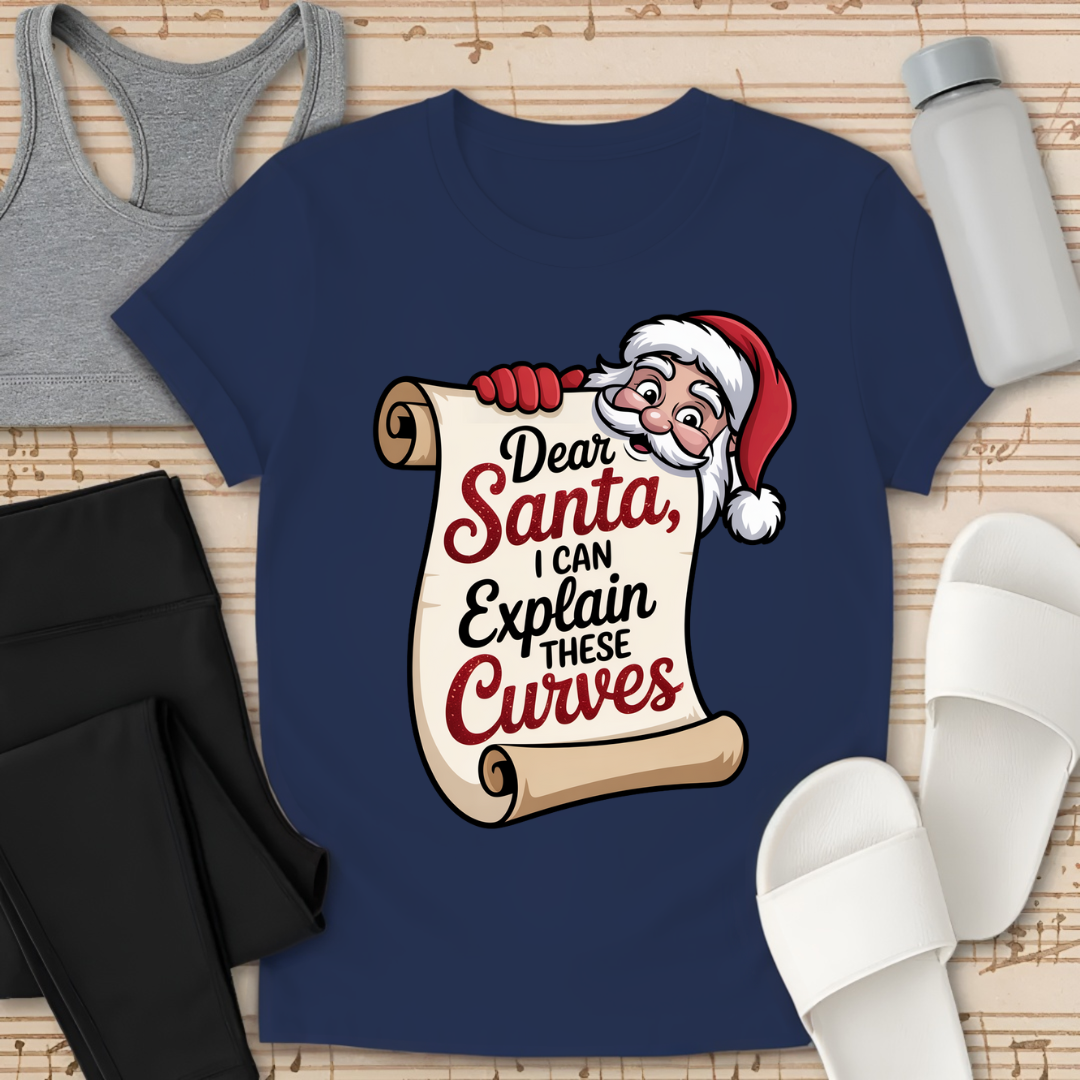 Curvy Girl Santa Explanation T-Shirt