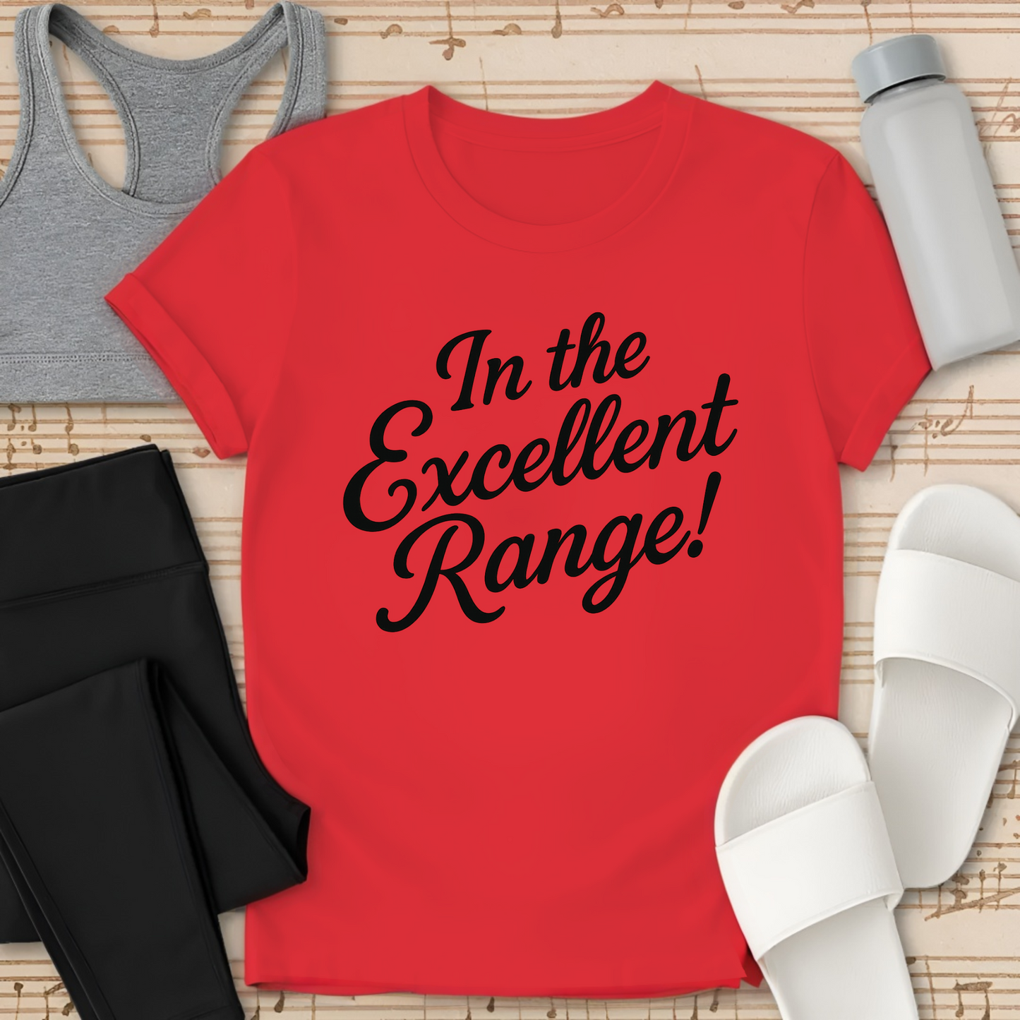In the Excellent Range! T-Shirt