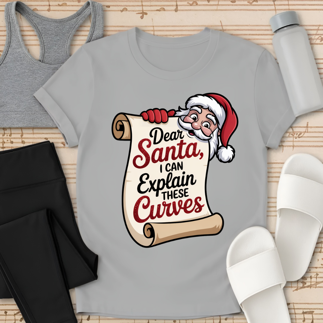Curvy Girl Santa Explanation T-Shirt