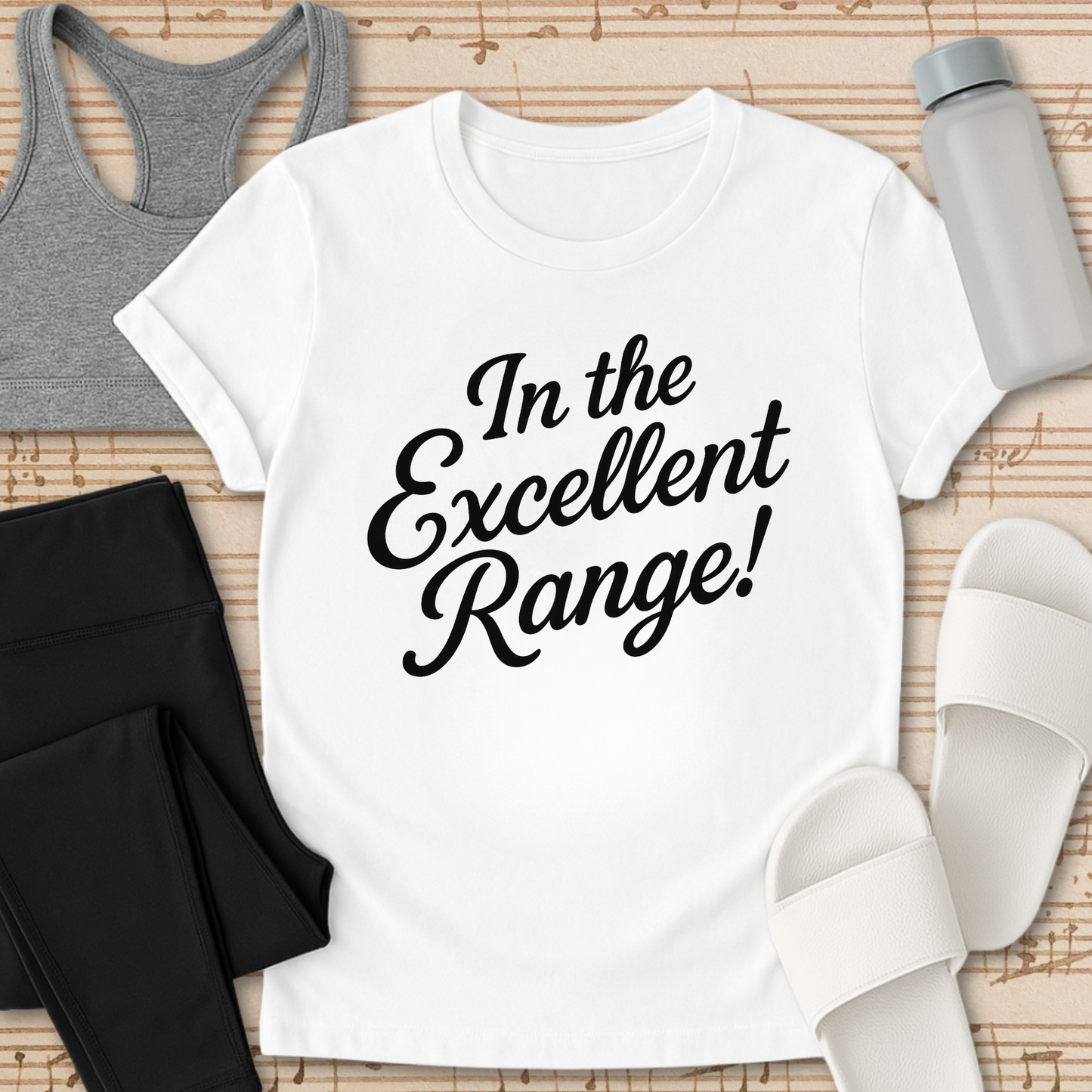 In the Excellent Range! T-Shirt