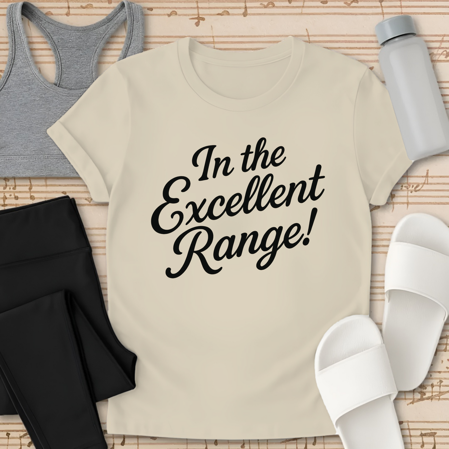 In the Excellent Range! T-Shirt