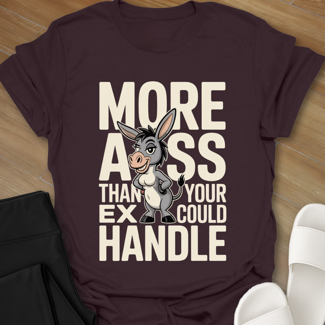 Than Your Ex Could Handle T-Shirt