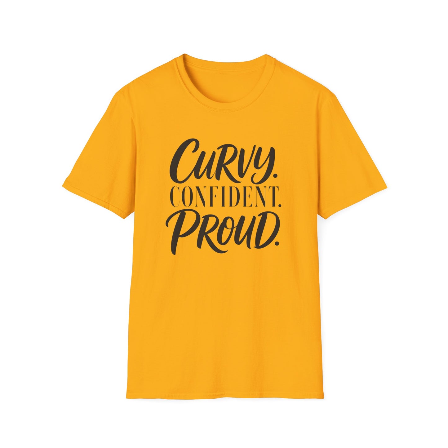 Curvy. Confident. Proud. T-Shirt
