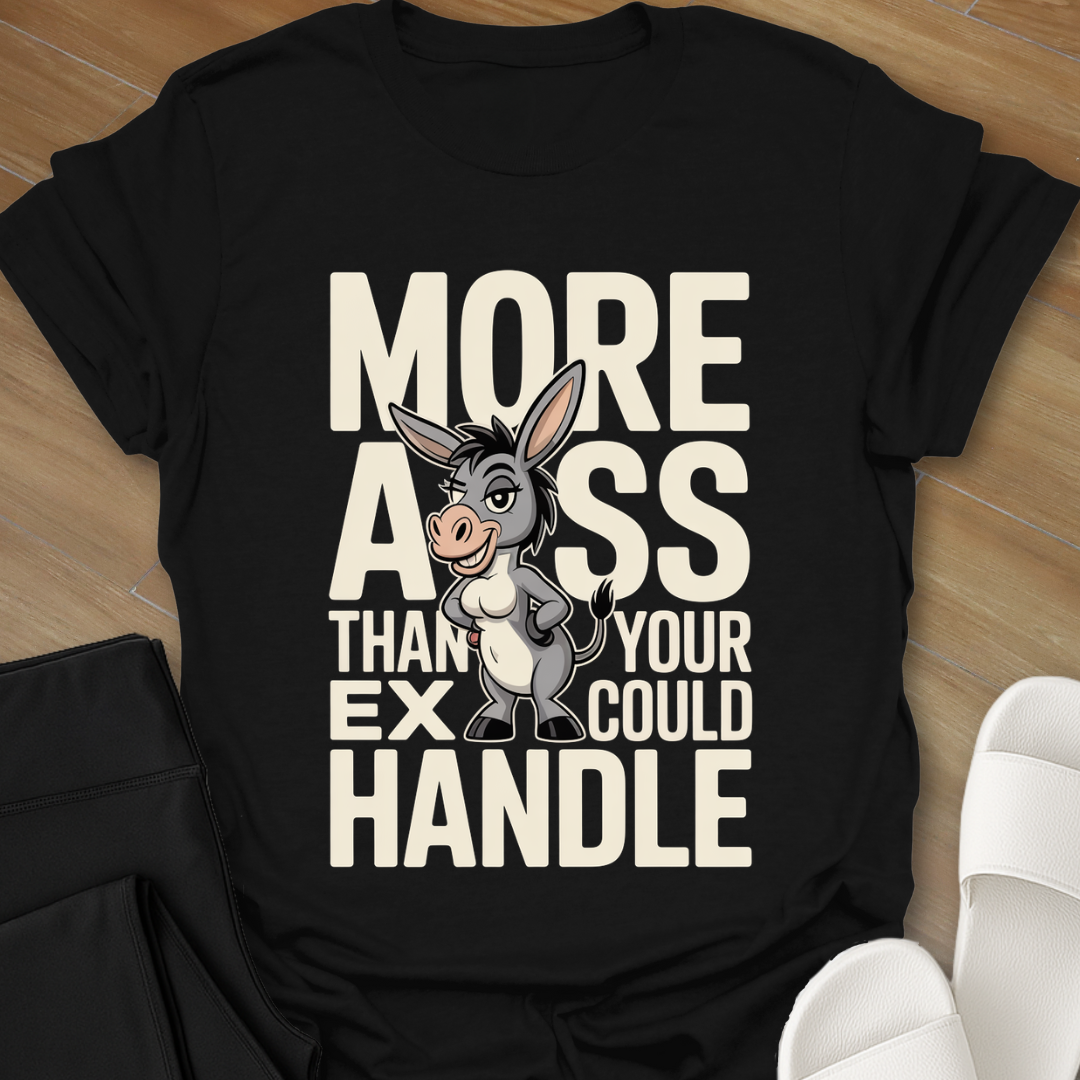 Than Your Ex Could Handle T-Shirt