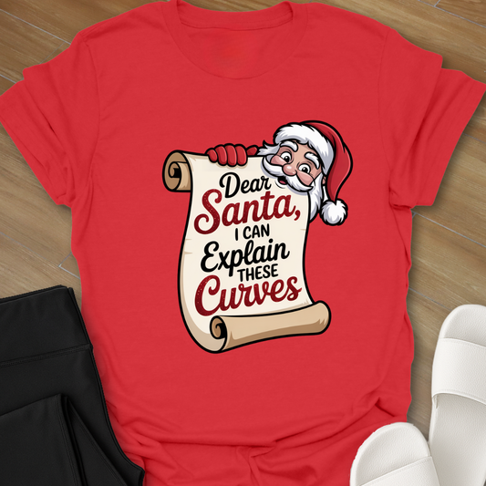 Curvy Girl Santa Explanation T-Shirt