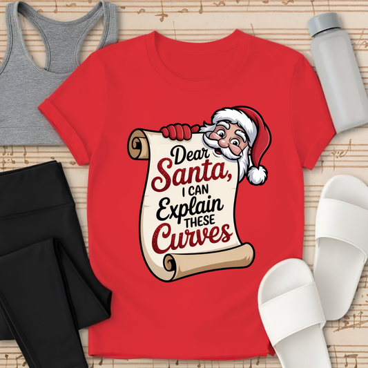 Curvy Girl Santa Explanation T-Shirt