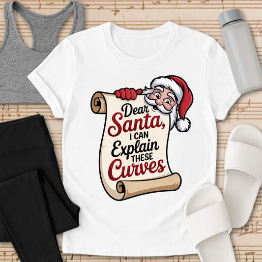 Curvy Girl Santa Explanation T-Shirt